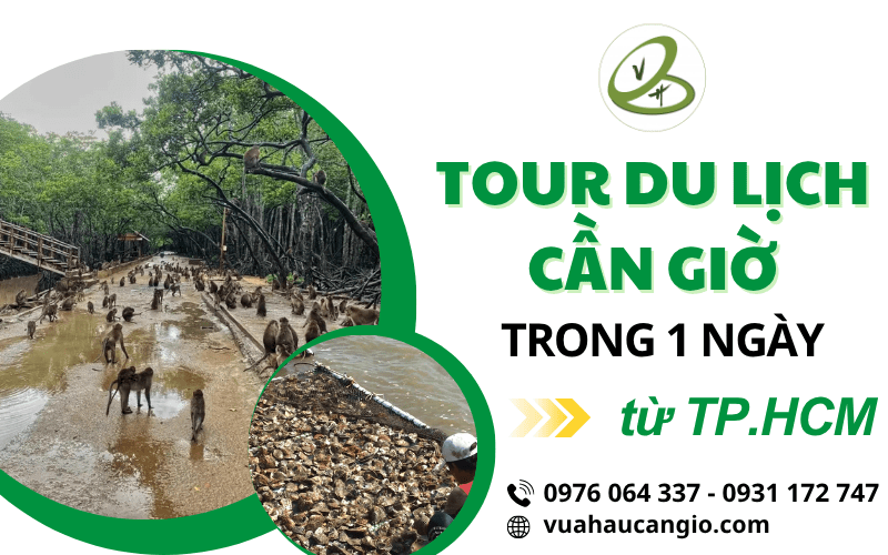 tour du lịch Cần Giờ